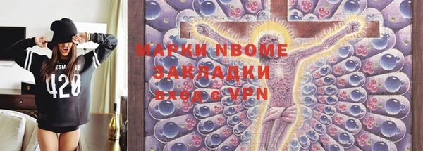 индика Нязепетровск
