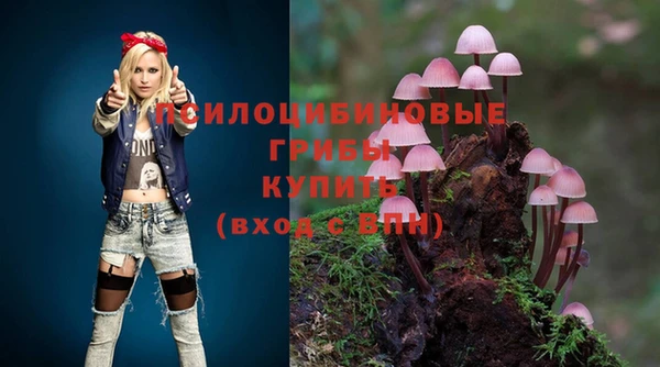индика Нязепетровск