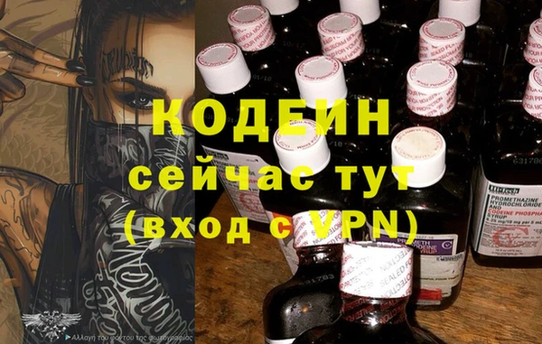 прущие грибы Абдулино