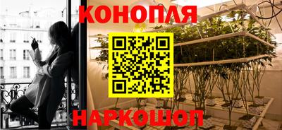 мдпв Обь