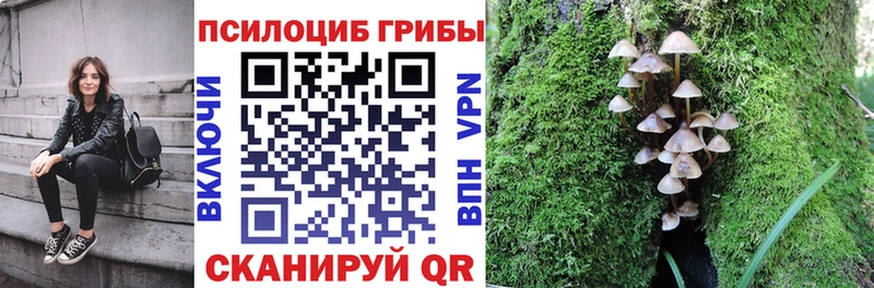 Галлюциногенные грибы ЛСД  Шахты 