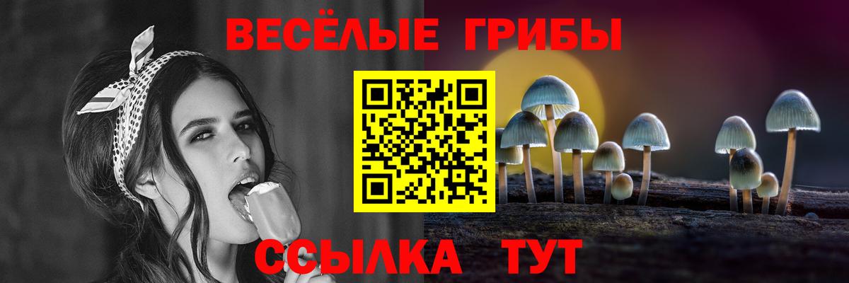 Псилоцибиновые грибы Psilocybine cubensis  Вход с VPN  Псилоцибиновые грибы GOLDEN TEACHER  Шахты 